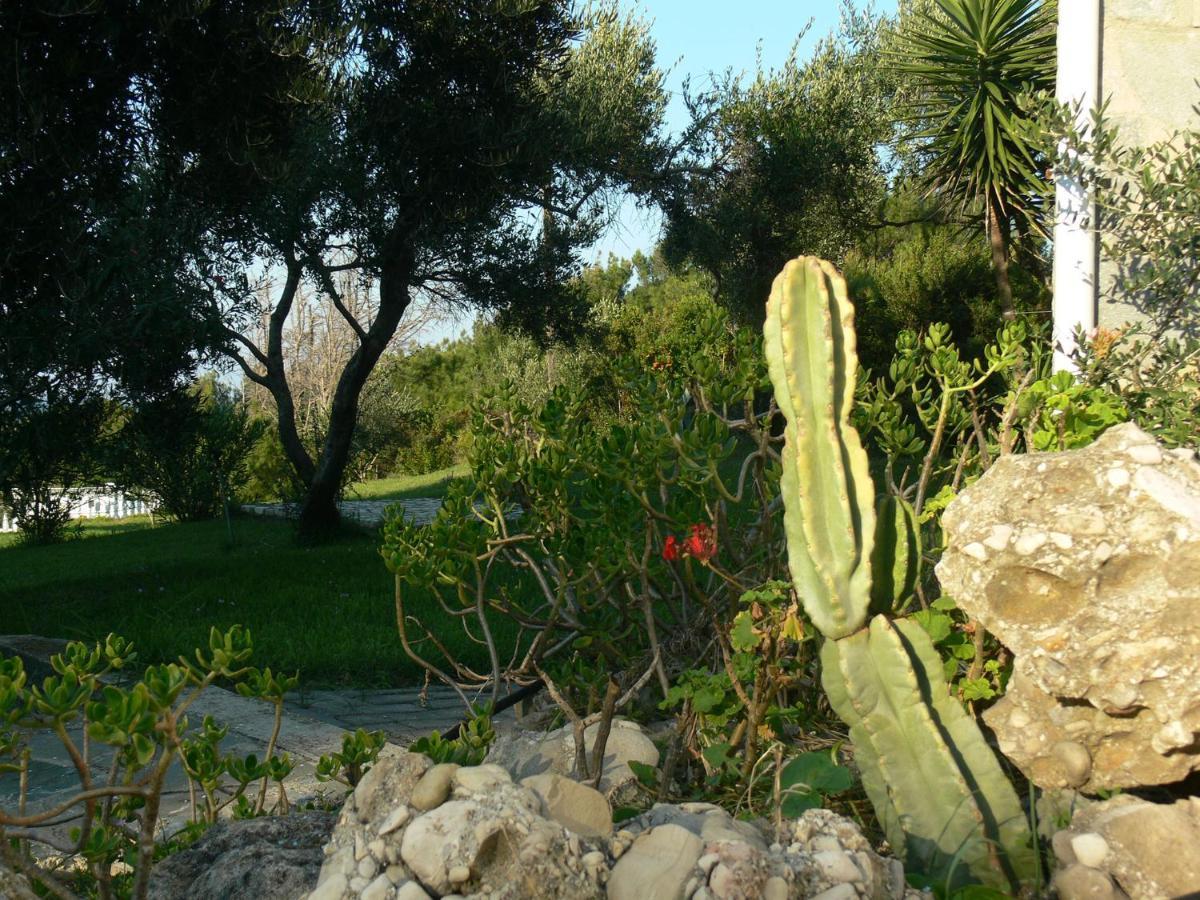 Villa Quietude Agios Stefanos Avliotes  Номер фото